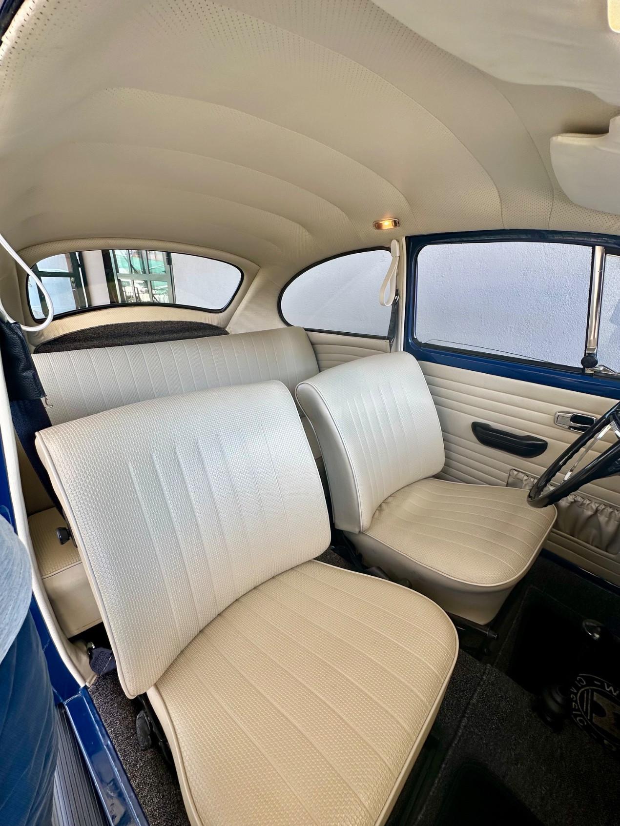 Volkswagen Maggiolino