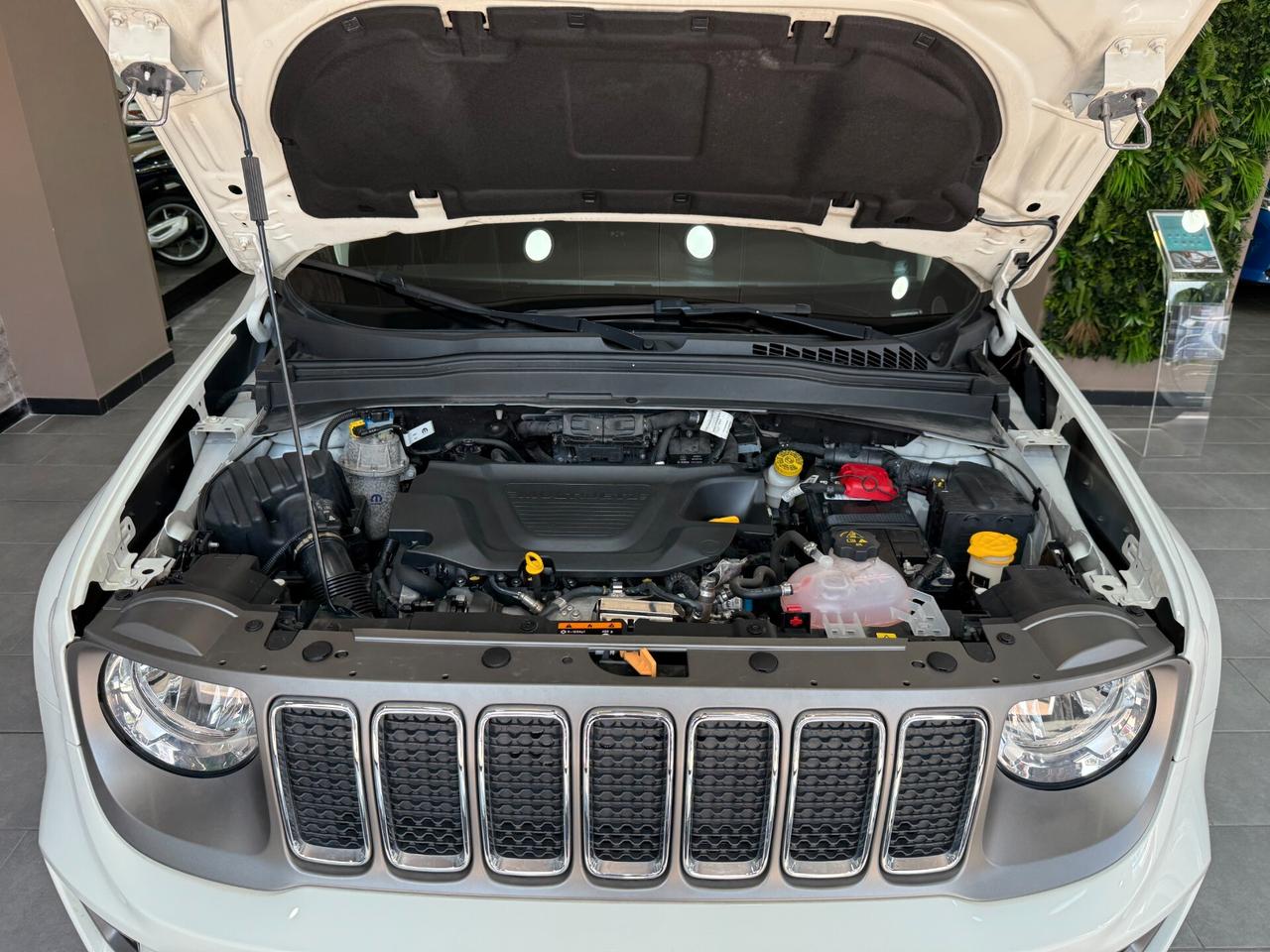 Jeep Renegade 1.6 Mjt 130 CV Limited - Pari al nuovo