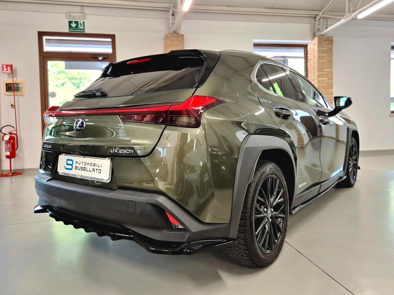 Lexus UX Hybrid Business