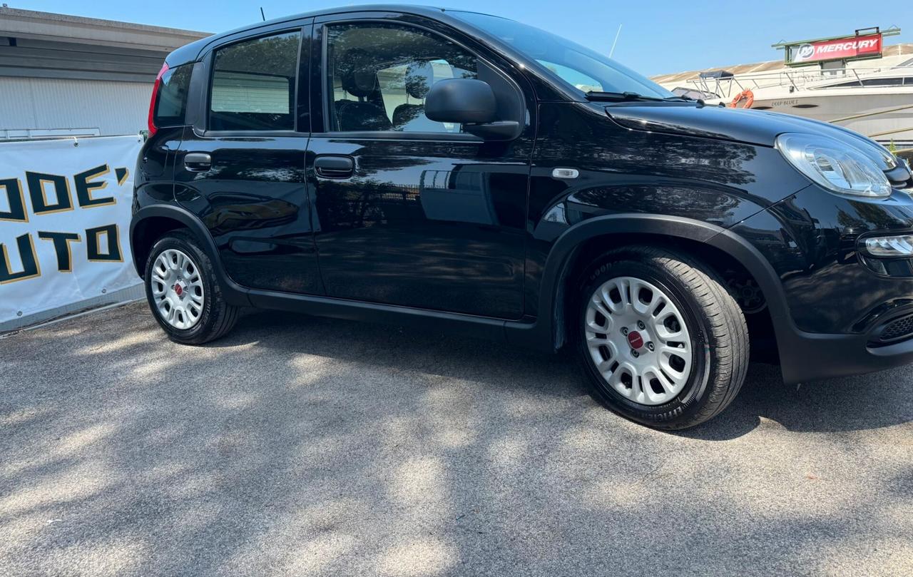 Fiat Panda 1.0 FireFly S&S Hybrid