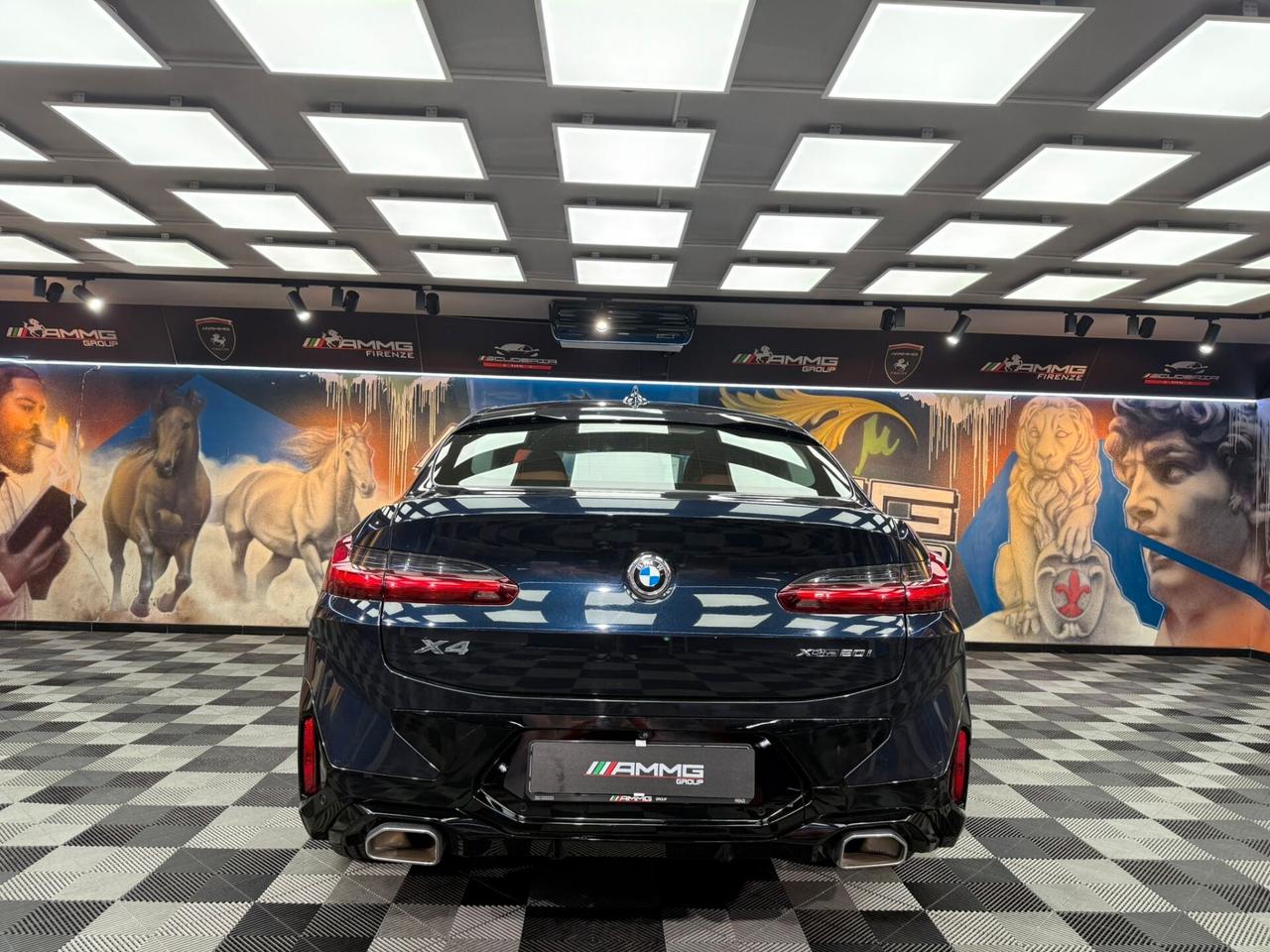 Bmw X4 xDrive20i 48V Msport (227)