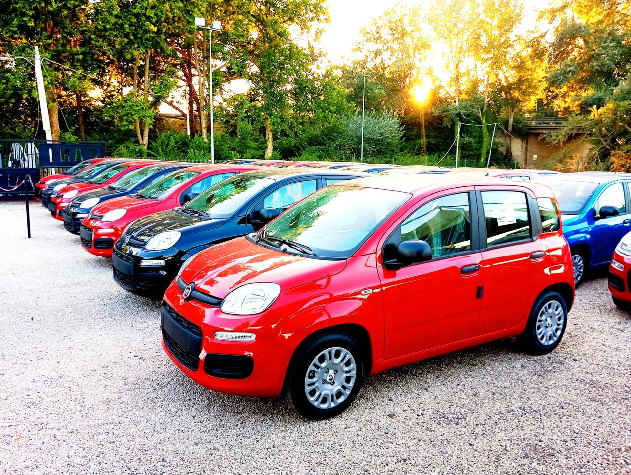 Fiat Panda 1.0 FireFly S&S Hybrid