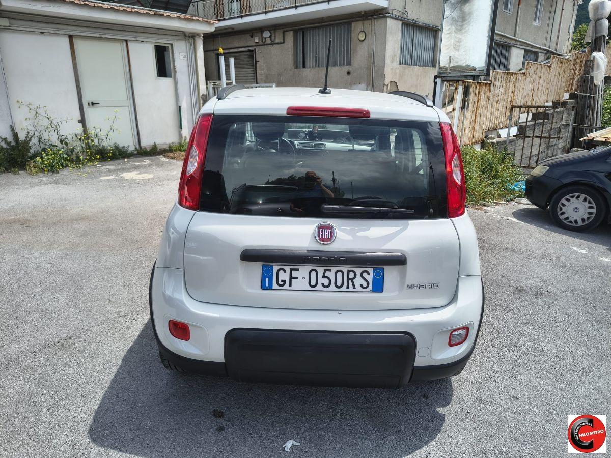 FIAT - Panda - 1.0 FireFly S&S Hybrid City Life