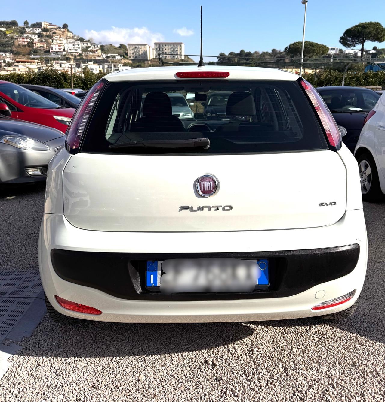 Fiat Punto Evo Punto Evo 1.4 5 porte S&S Dynamic