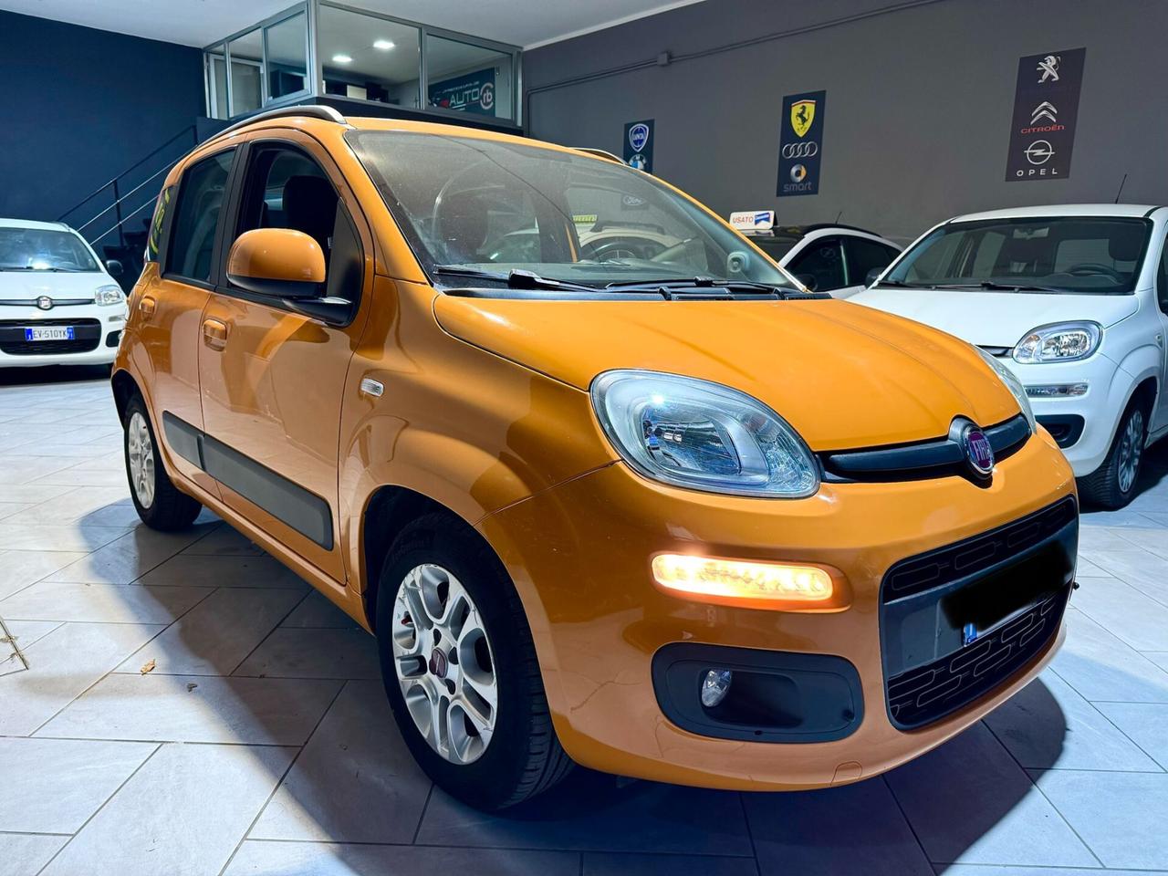 NEW Fiat Panda VARI MODELLI OCCASIONEE