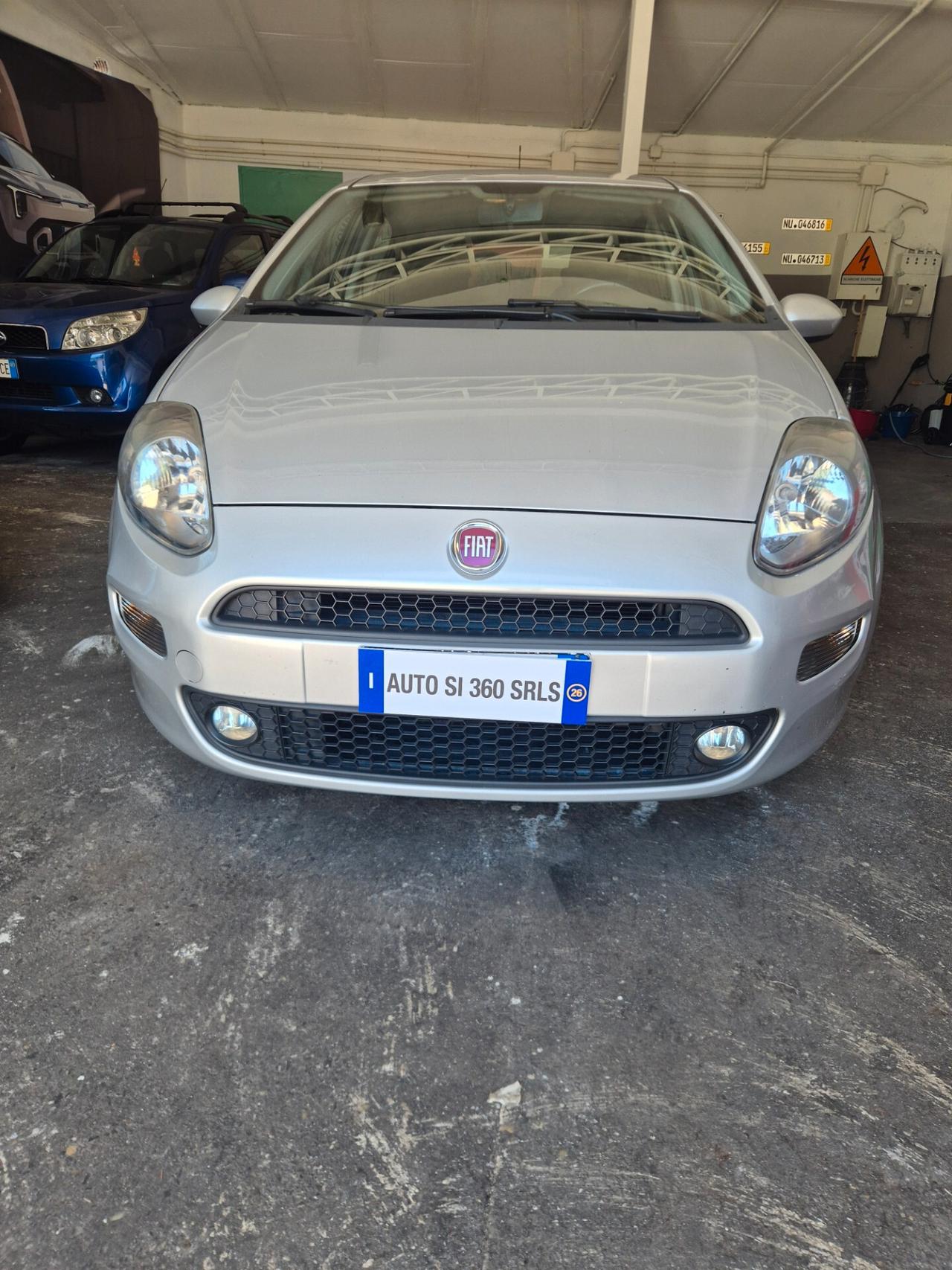 Fiat Punto 1.2 8V 5 porte Lounge euro 6 neo patentati