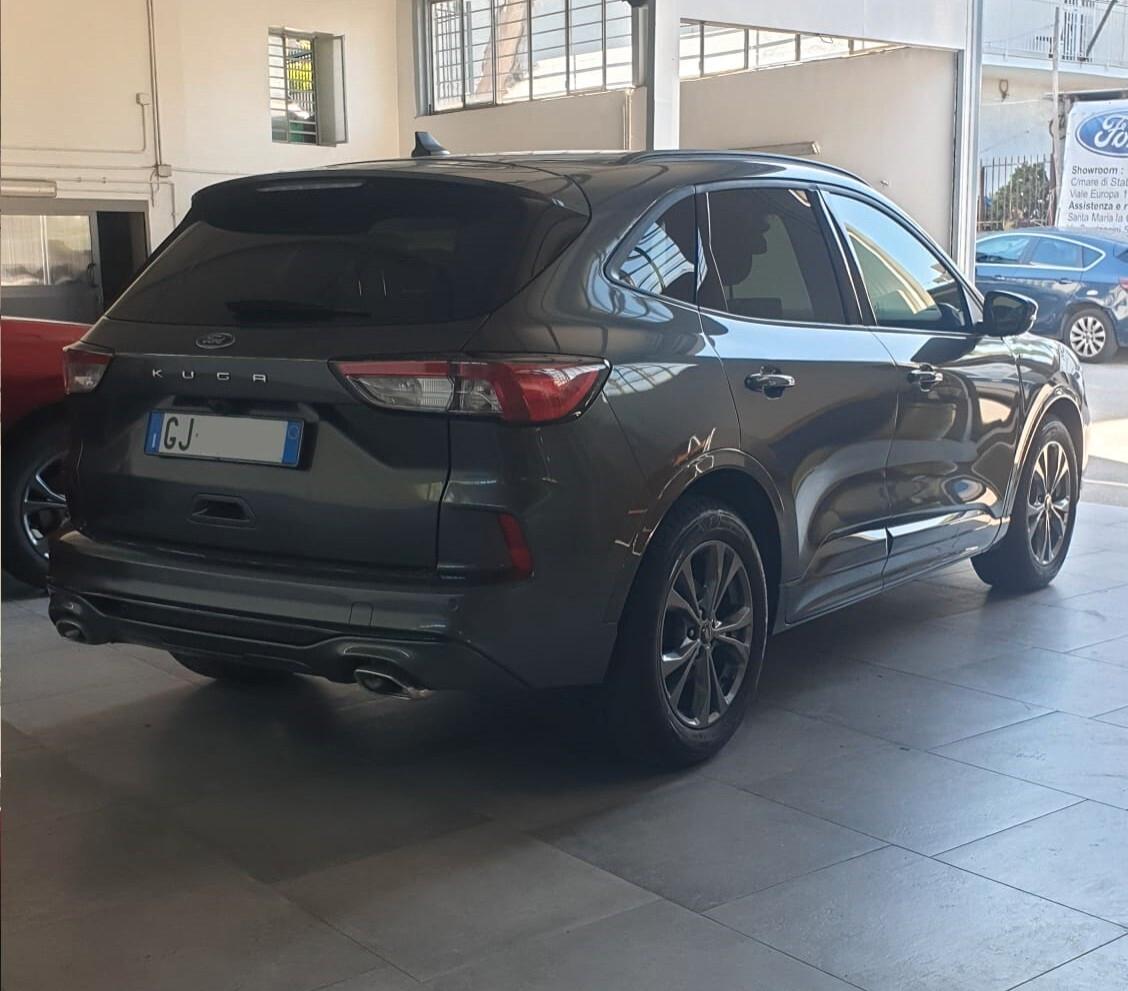 Ford Kuga 1.5 EcoBlue 120 CV 2WD ST-Line