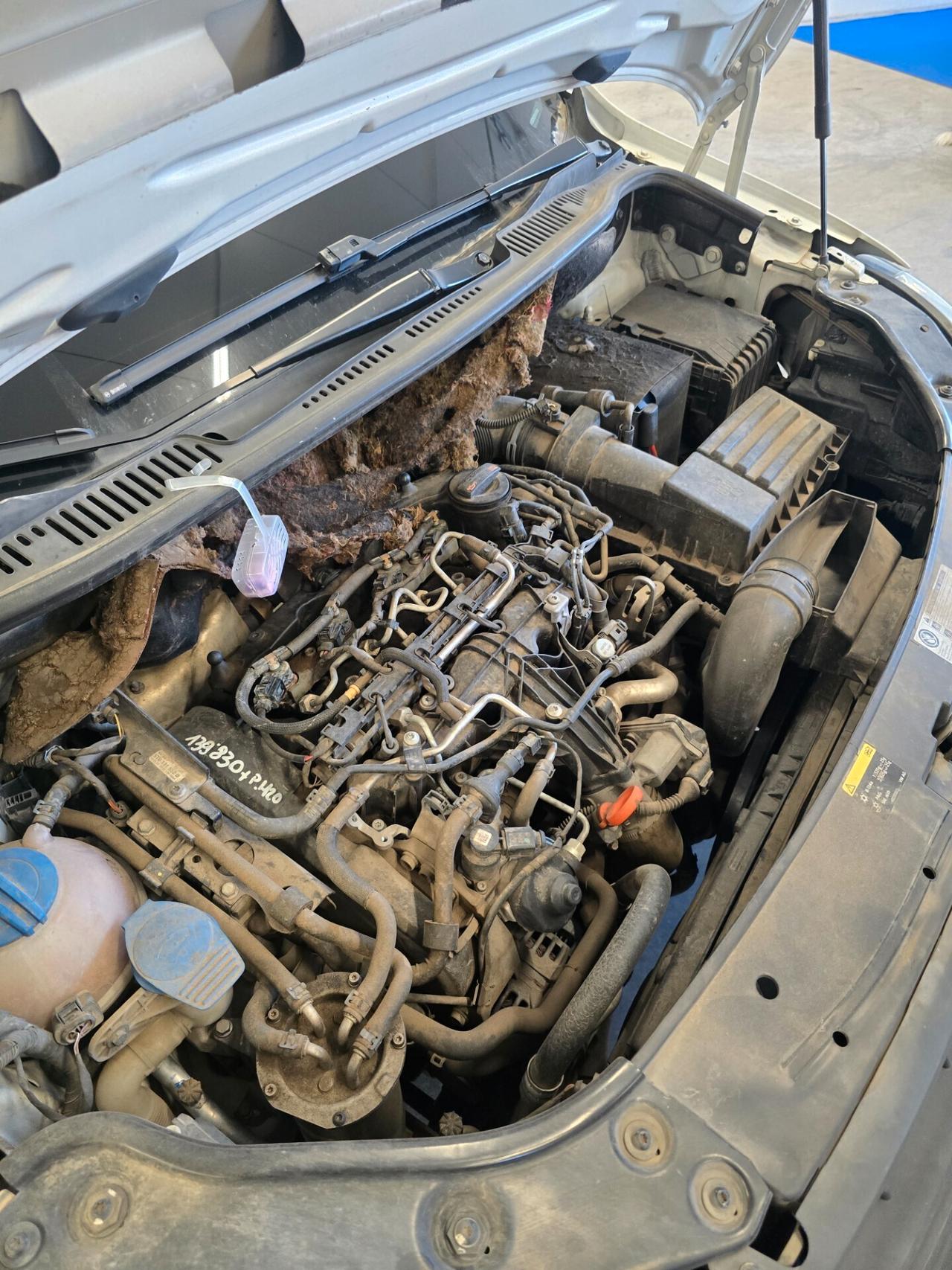 Volkswagen Caddy 2.0 TDI 110 CV 4Motion Van