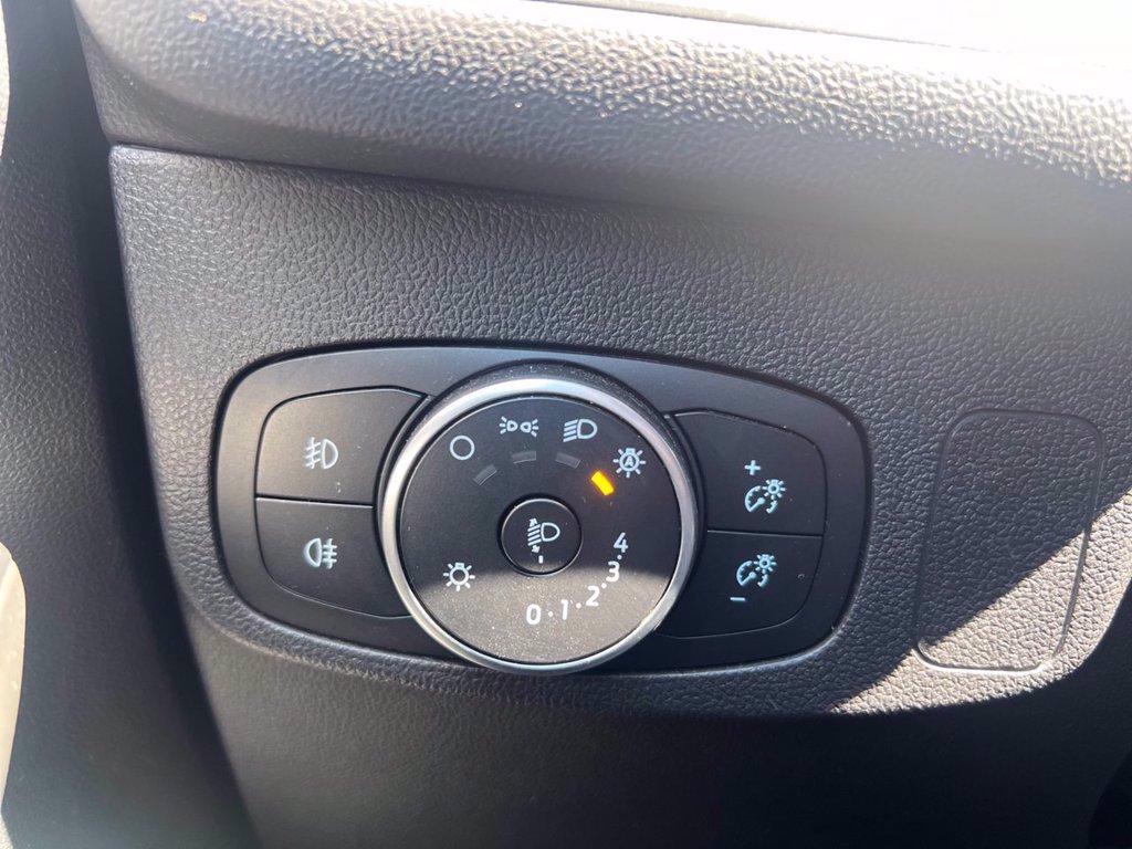 FORD Focus 1.0 EcoBoost Hybrid 125 CV 5p. ST-Line del 2021