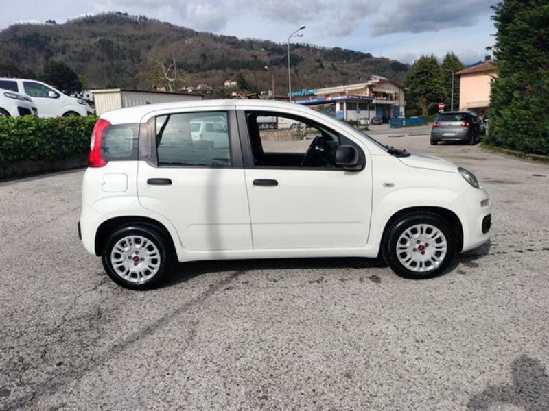 FIAT Panda 1.2 69cv E6 Easy