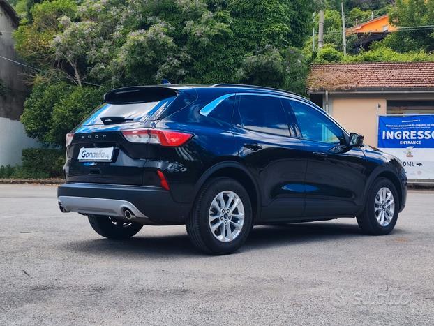 Ford Kuga 1.5 EcoBlue 120 CV 2WD Titanium Business