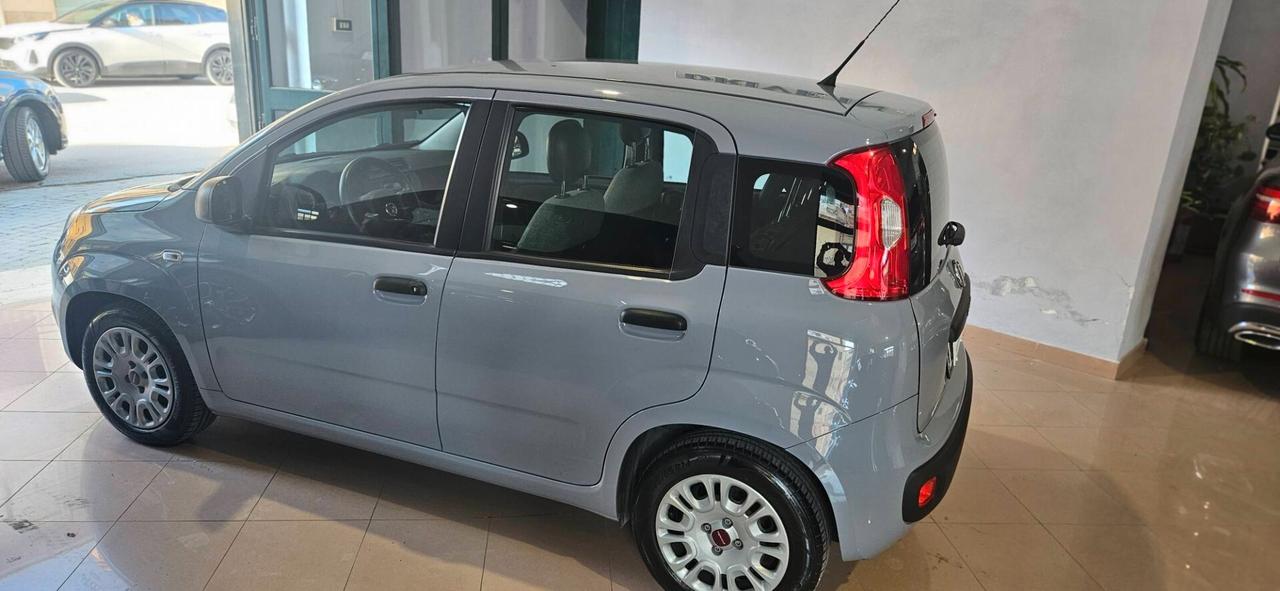 Fiat Panda 1.0 FireFly S&S Hybrid 5 Posti Easy
