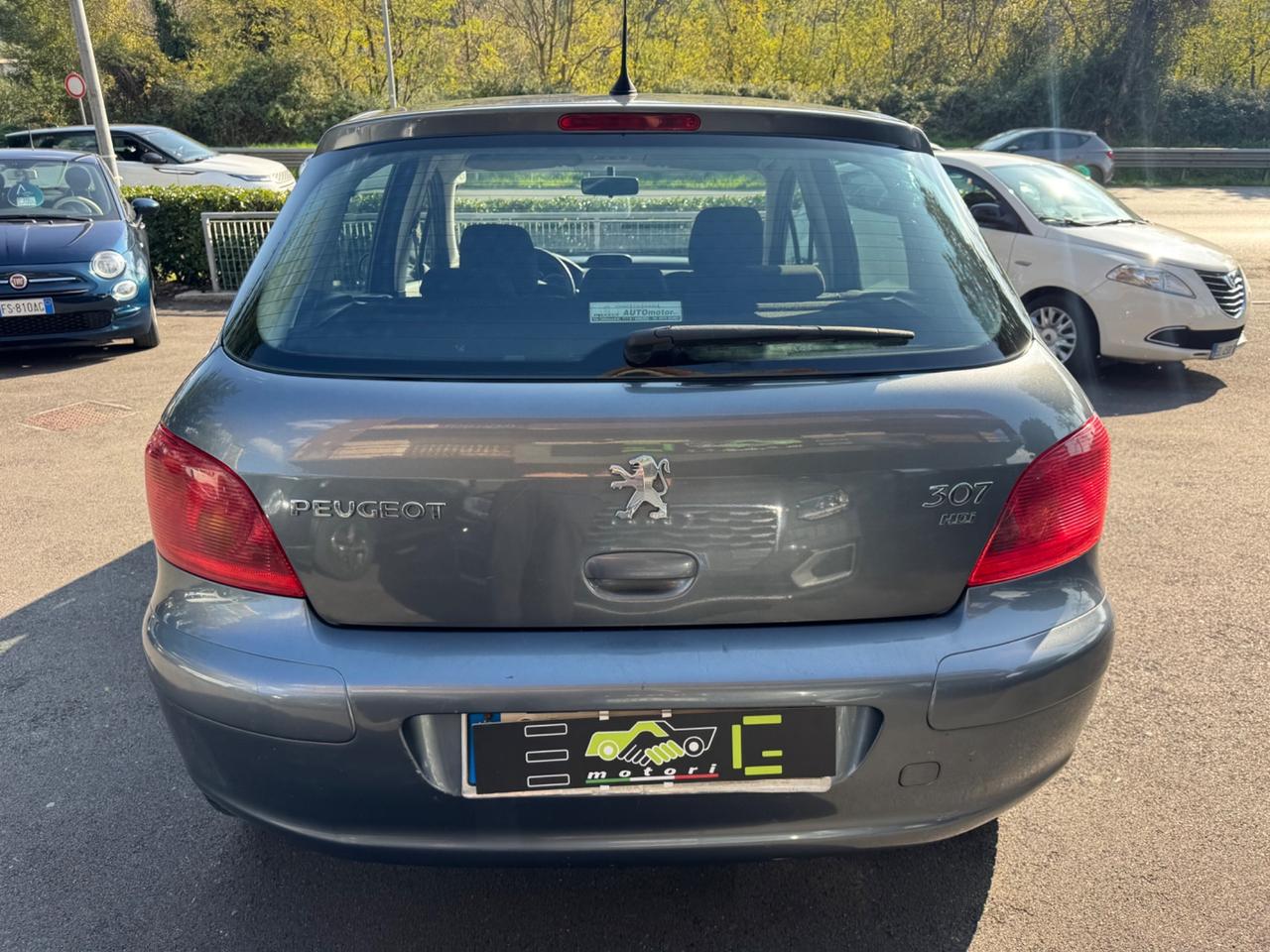 Peugeot 307 1.6 16V HDi FAP 110CV 5p. XSI