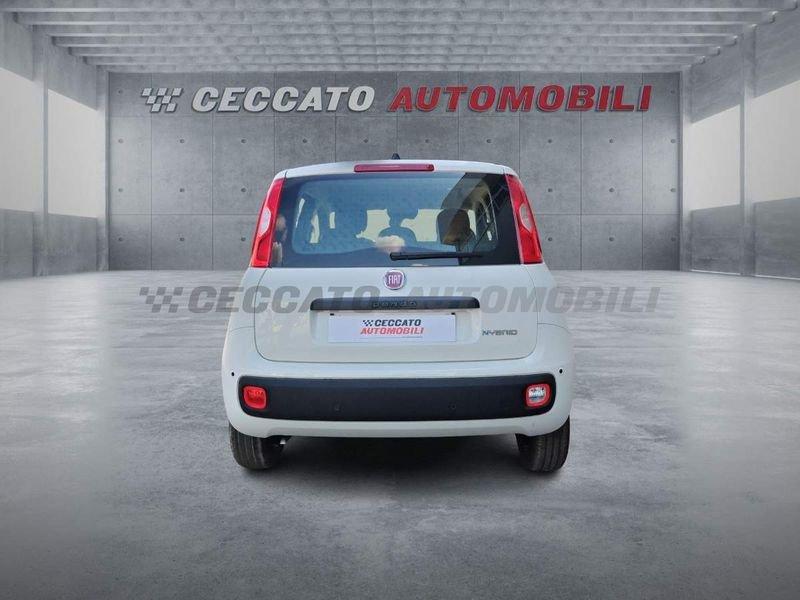FIAT Panda Panda 1.0 firefly hybrid s&s 70cv 5p.ti