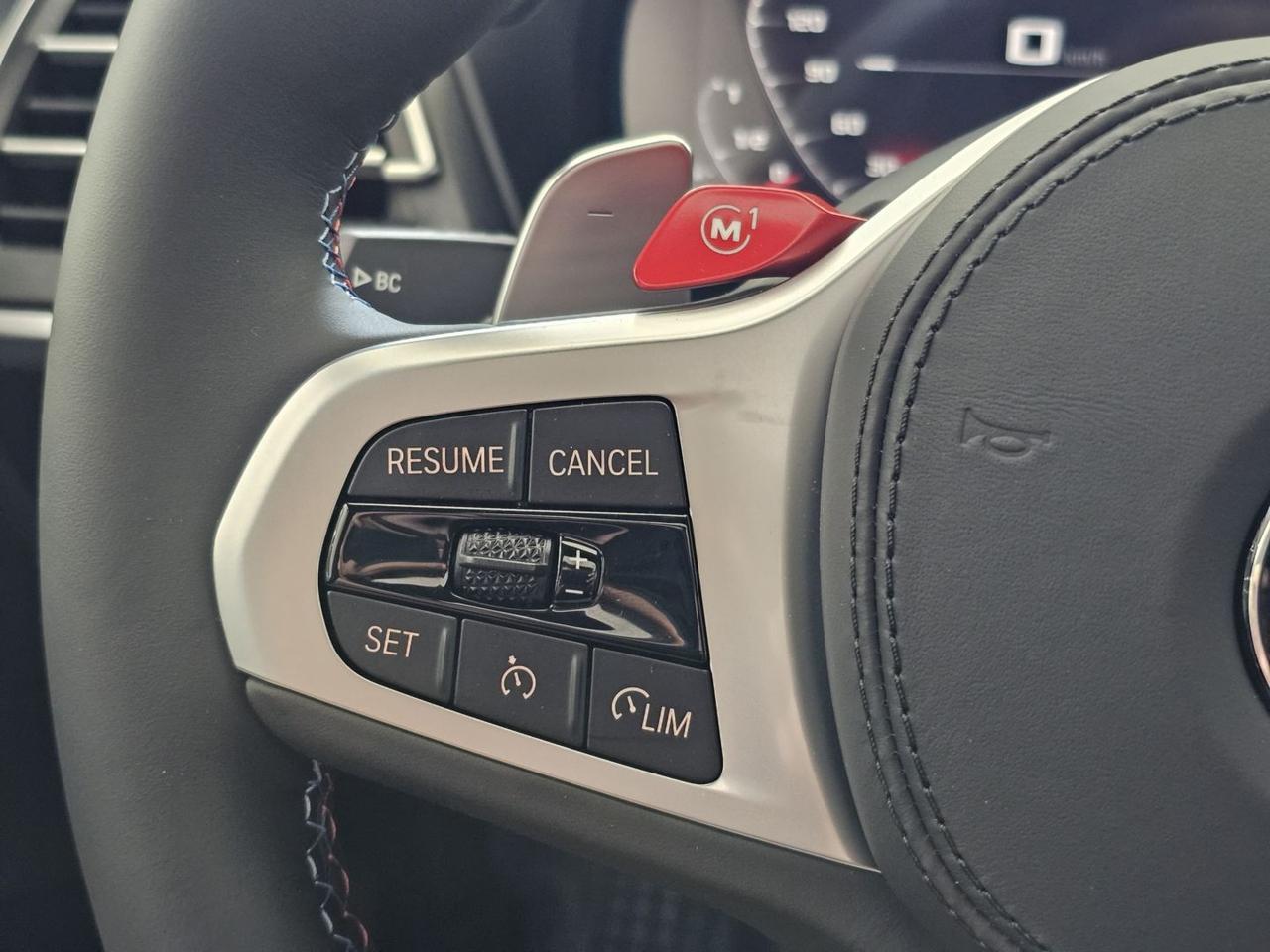 BMW X4 X4 M Competition xDrive Tetto Carbonio Laser