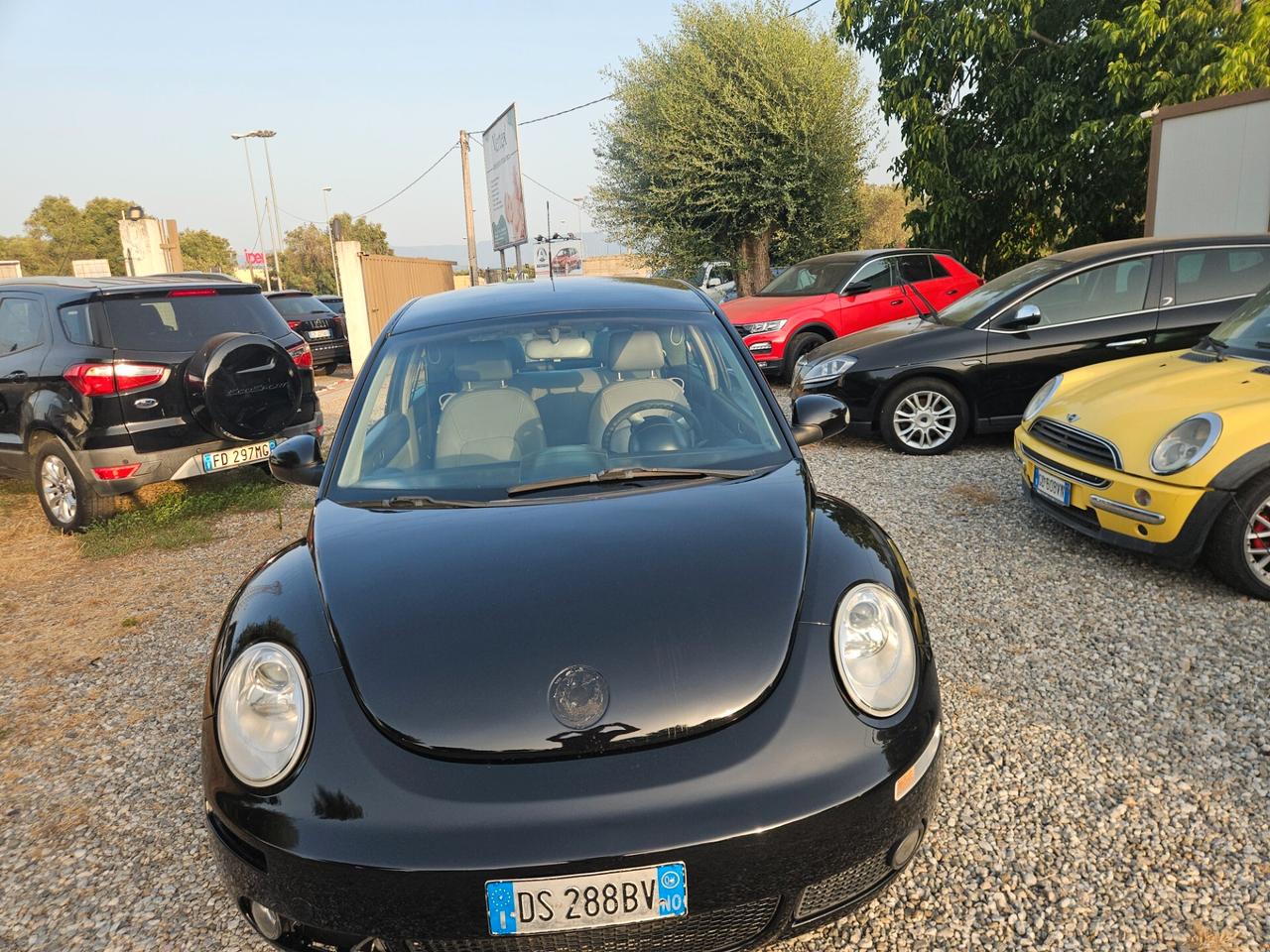 Volkswagen New Beetle 1.9 TDI 105CV