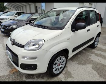 FIAT Panda 3ª serie - Panda 0.9 TwinAir Turbo Natural Power Easy