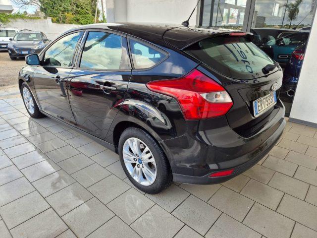 FORD Focus 1.6 TDCi 115 CV Business