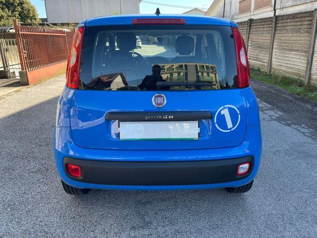 FIAT Panda 1.2 Pandazzurri NEOPATENTATI