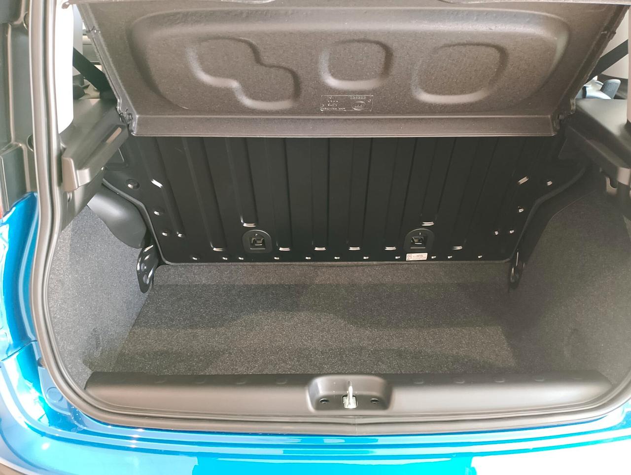 Fiat Panda 1.0 FireFly S&S Hybrid Pandina