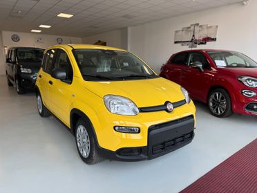Fiat Panda 1.0 FireFly S&S Hybrid Pandina