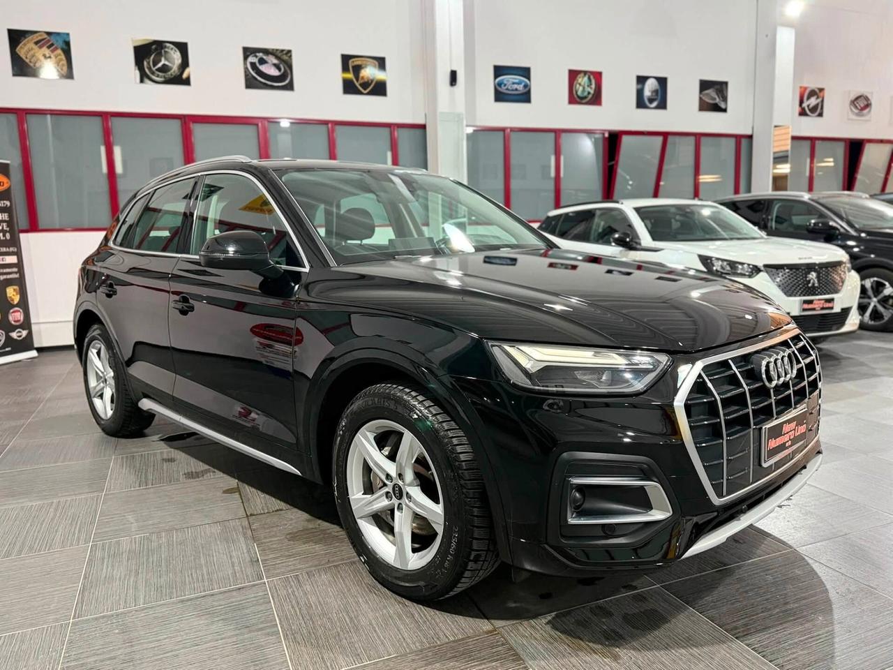 Audi Q5 2.0 TDI S-Tronic Mhev 35 Business Plus 2023