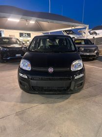 Fiat Panda Pandina 1.0 FireFly 65 CV Hybrid Icon