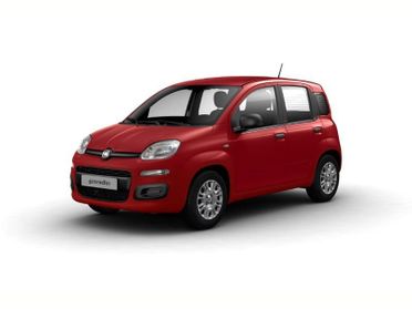 FIAT Panda Panda 1.0 FireFly S&S Hybrid Icon