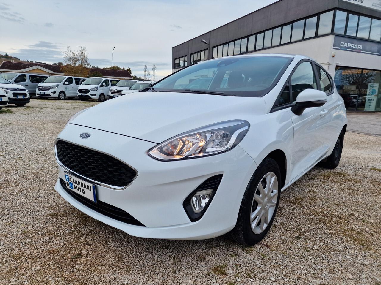 Ford Fiesta 1.5 EcoBlue 5 porte Business