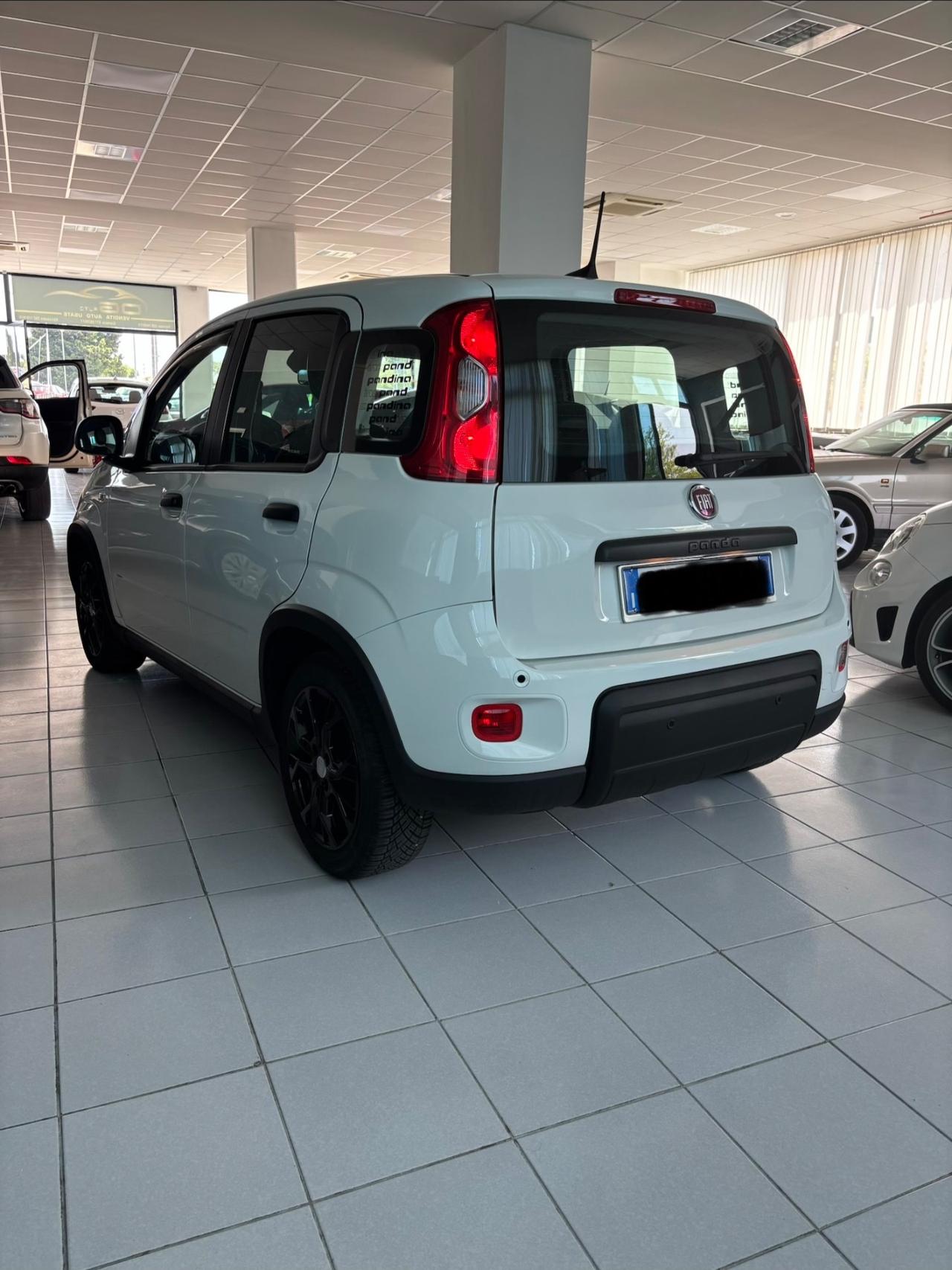 Fiat Panda 1.0 FireFly S&S Hybrid Pandina