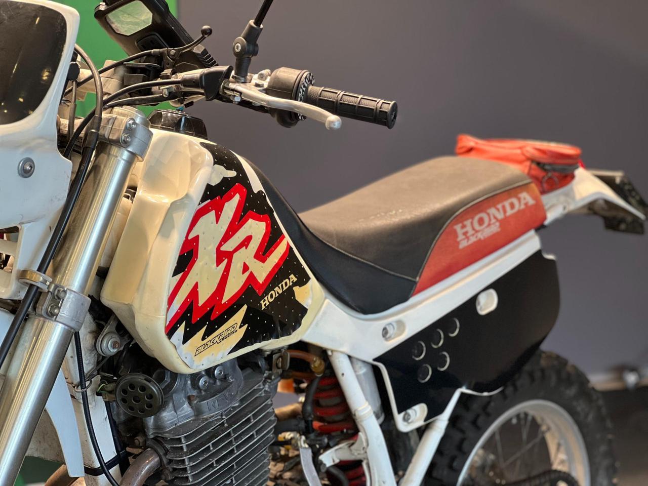 Honda XR 600 Blackbird Matching Numbers Iscritta ASI