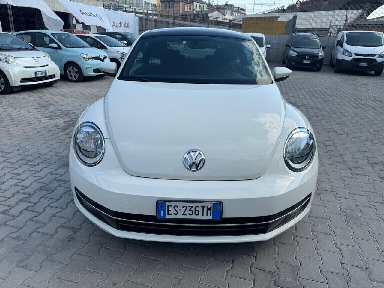 VW MAGGIOLINO 1.6 TDI 105 CV