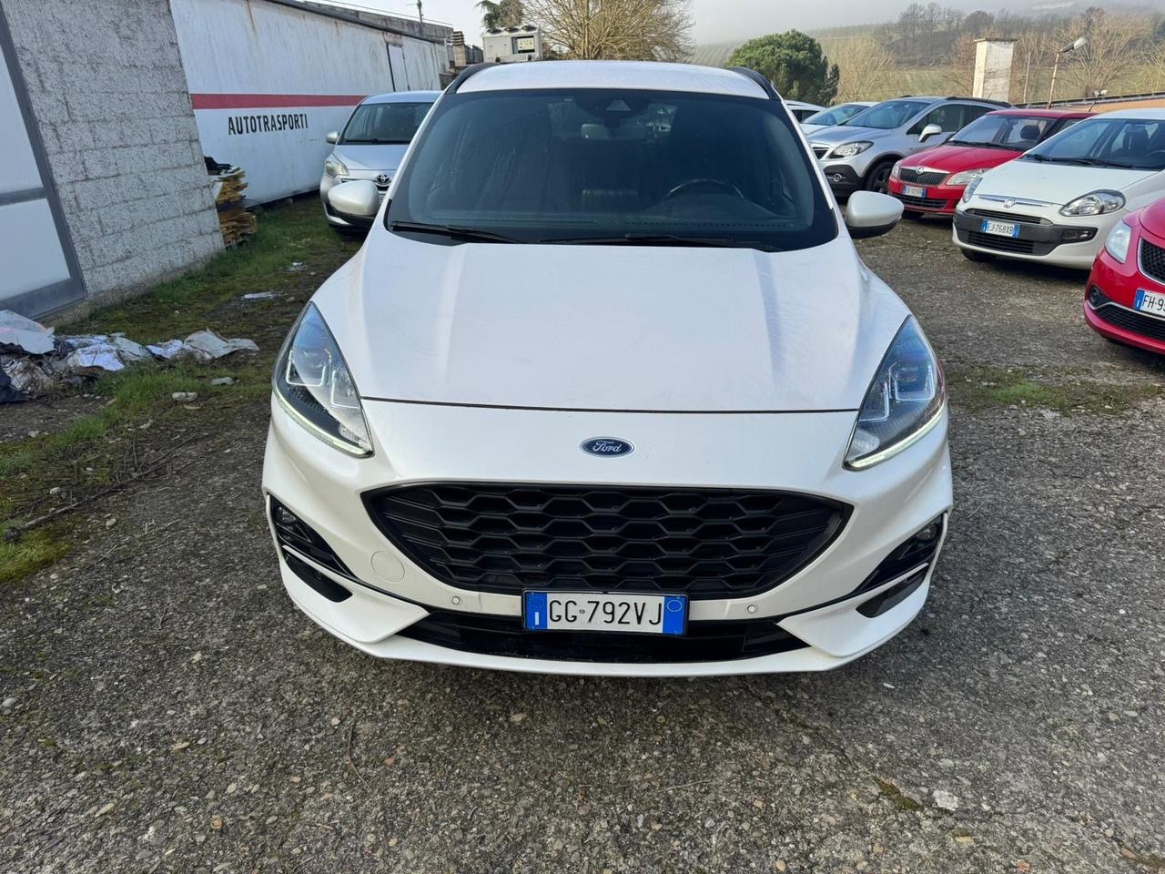 Ford Kuga 1.5 EcoBlue 120 CV aut. 2WD ST-Line X