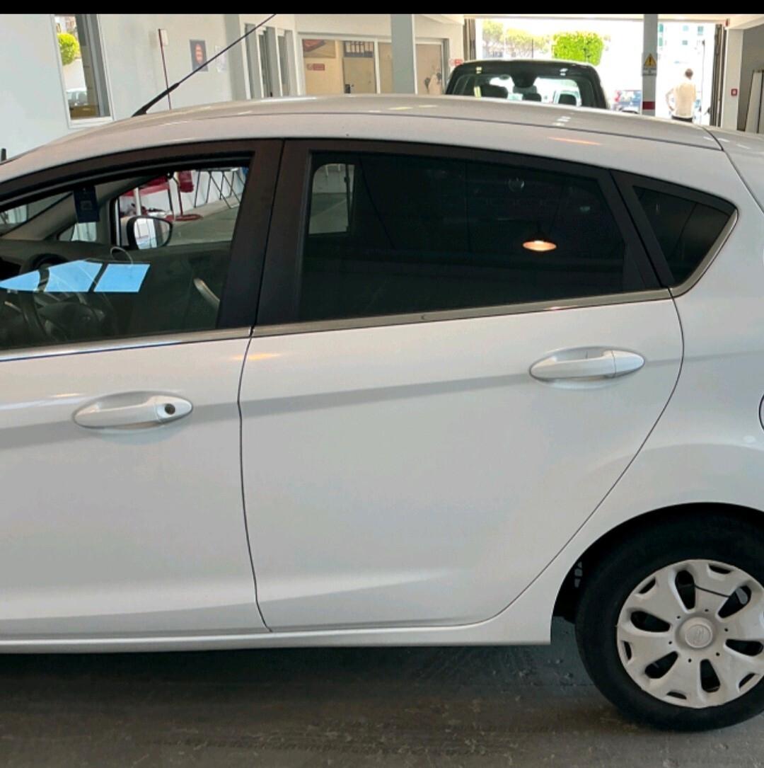 Ford Fiesta 1.4 TDCi 5p. Titanium 2010