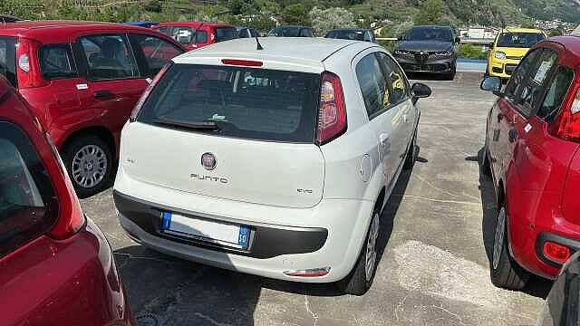 Fiat Punto Evo 1.4 5 porte S&S Fun