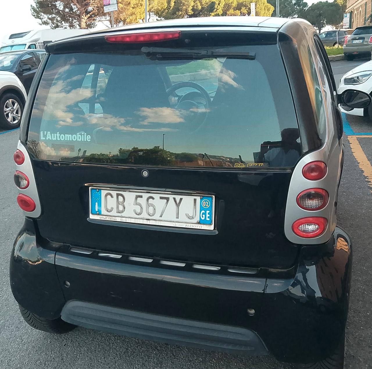 Smart 600 & pulse (45 kW)