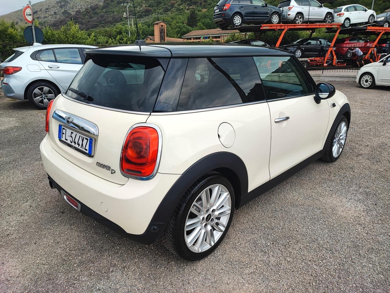 Mini 1.5 One D Hype
