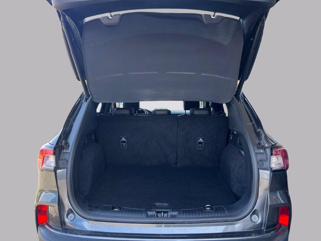 FORD Kuga 1.5 EcoBoost 150 CV 2WD Titanium X del 2023