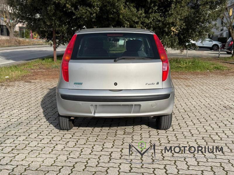 Fiat Punto 5 Porte Punto 5p 1.2 Feel