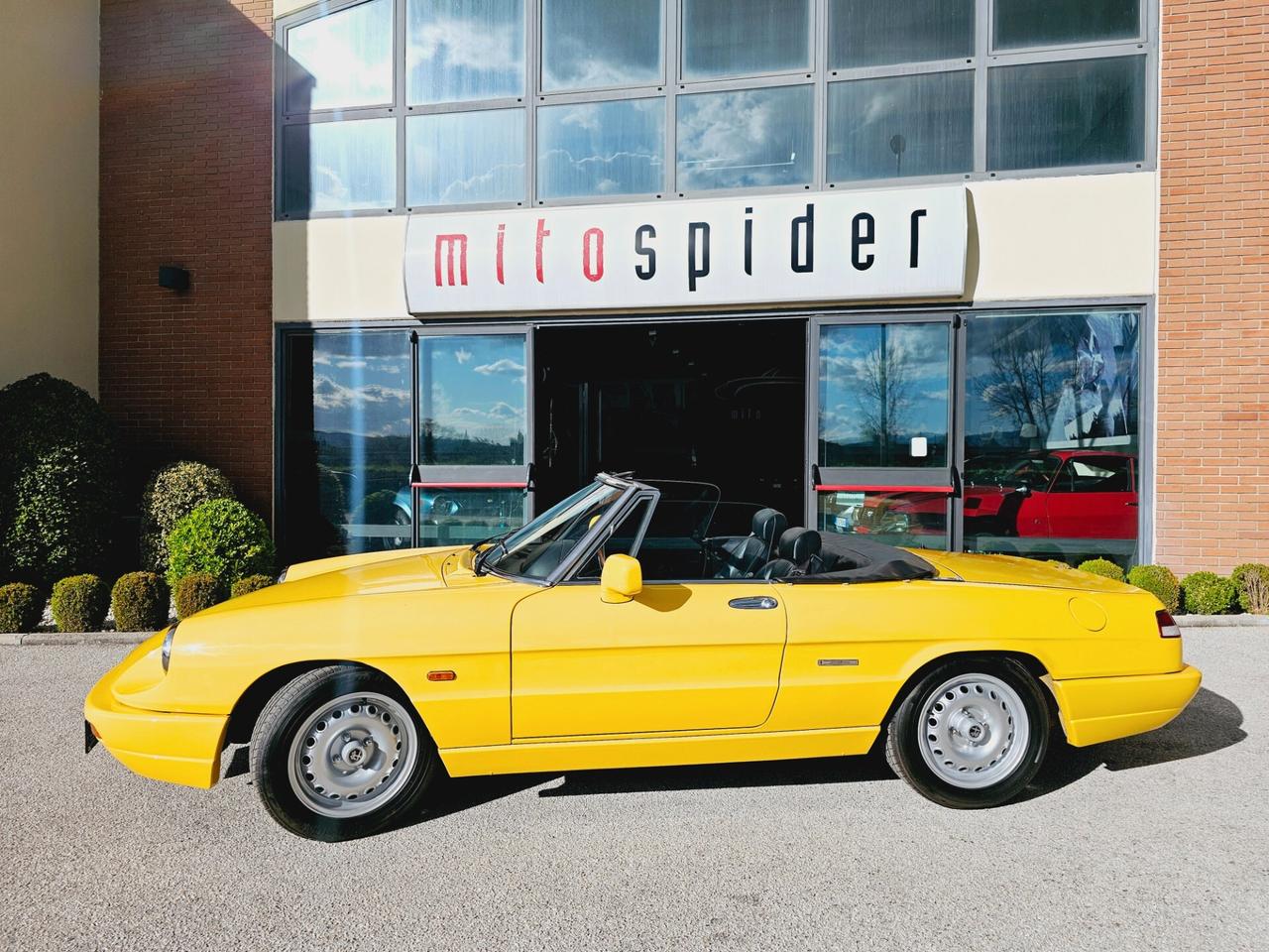 Alfa Romeo Spider 1.6 Asi con Crs Fatture Lavori