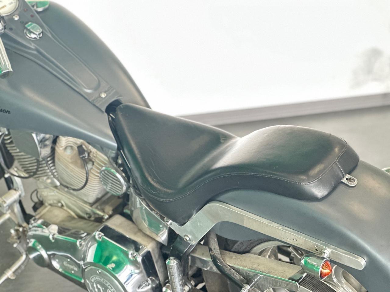 Altro Altro Titan Coyote - Harley Davidson Softail