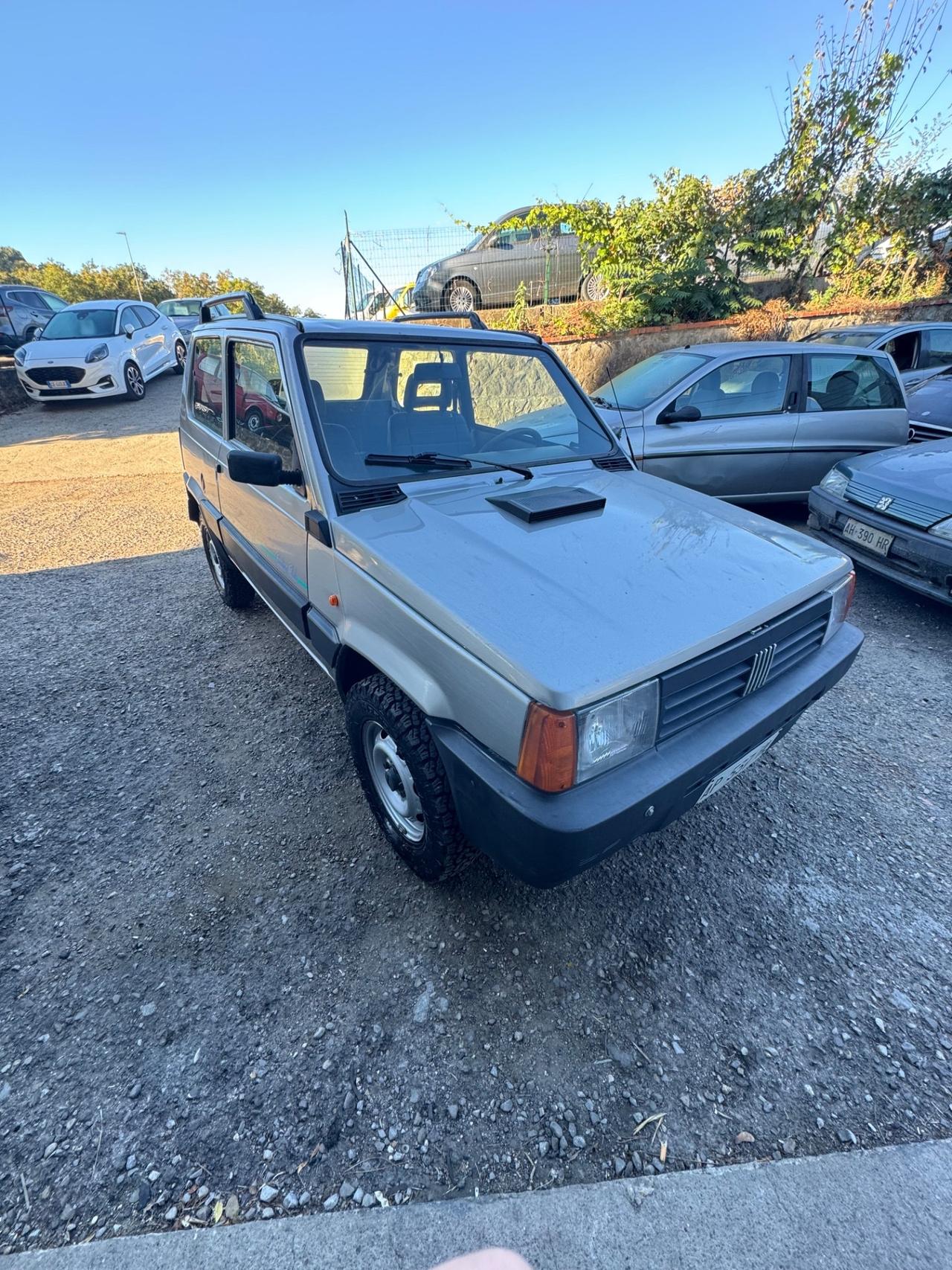 Fiat Panda 1100 i.e. cat 4x4 Trekking