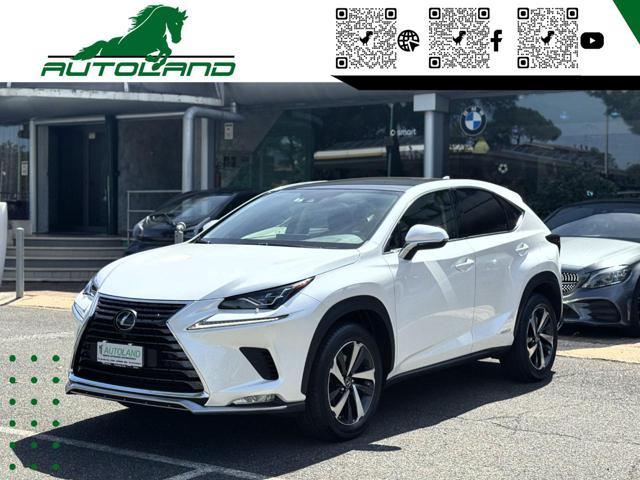 LEXUS NX 300 Hybrid 4WD Executive 155 CV