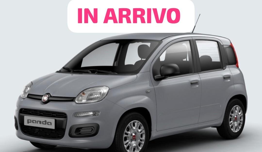 Fiat Panda 1.2 Easy