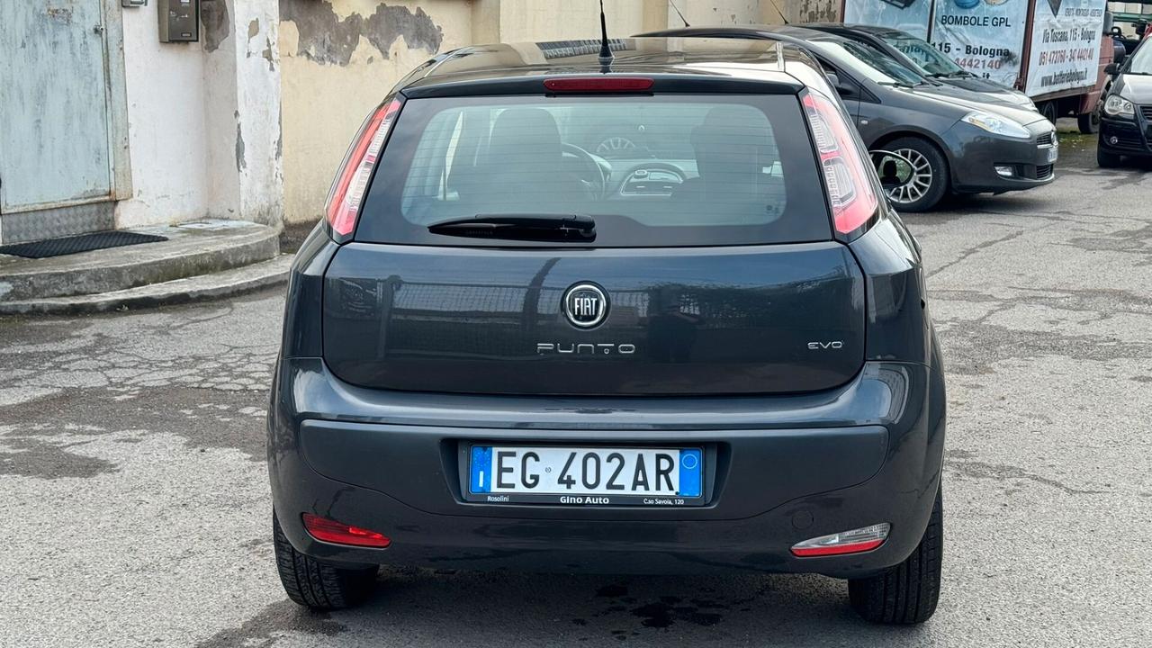 Fiat Punto Evo 1.4 5 porte S&S Active