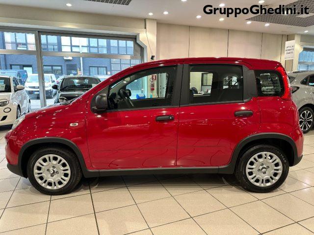 FIAT Panda 1.0 FireFly S&S Hybrid Pandina