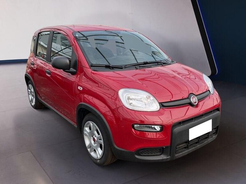 FIAT Panda My23 1.0 70cv Hybrid Panda
