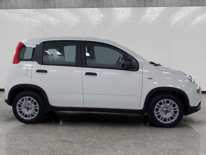 FIAT Panda 1.0 firefly hybrid s&s 70cv 5p.ti