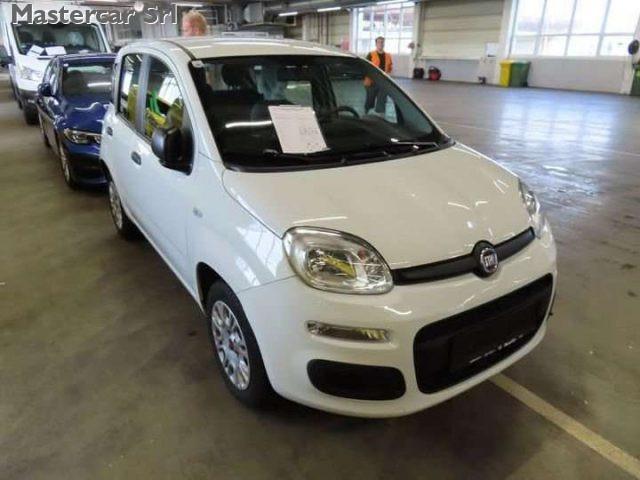 FIAT Panda 1.2 Easy 69cv telaio ZFA31200003D84902