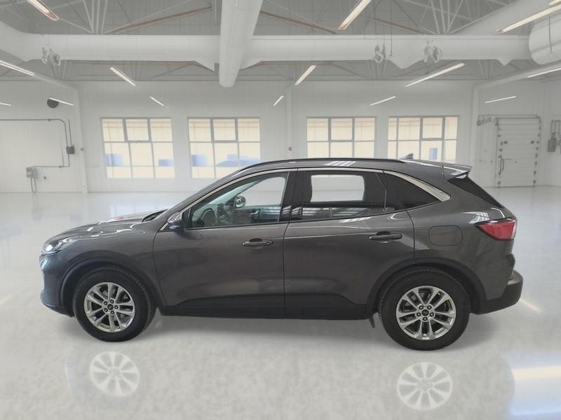 FORD KUGA 1.5 ECOBLUE 120 CV 2WD TITANIUM BUSINESS AUTO SUV